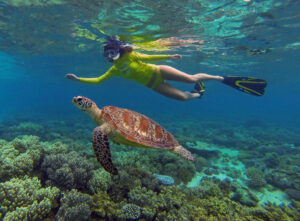 snorkelling-with-turtle-cape-trib-1600x1180